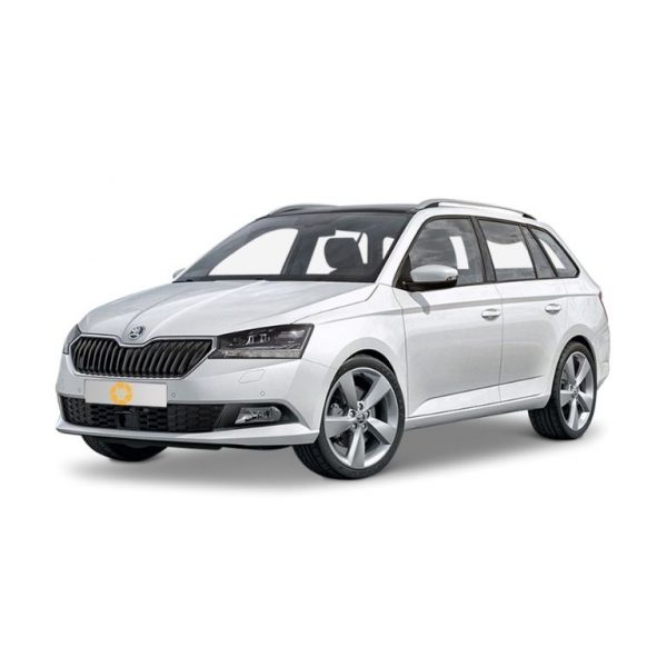 rent-fabia-combi-in-lviv